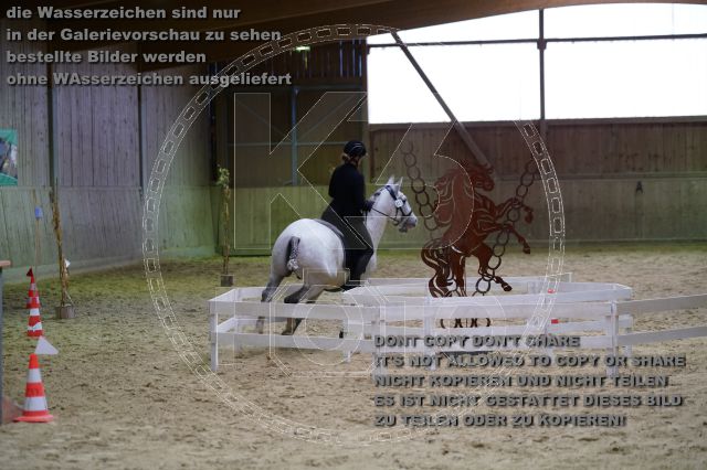 s_K3F07953.JPG